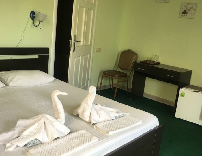 Номер стандарт комфорт с 1 двуспальной кроватью - Отель «Пальма» Пицунда