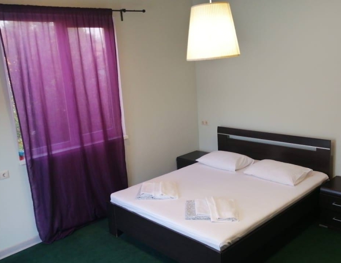 Номер стандарт комфорт с 1 двуспальной кроватью - Отель «Пальма» Пицунда