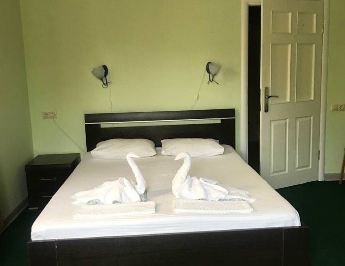 Номер стандарт комфорт с 1 двуспальной кроватью - Отель «Пальма» Пицунда